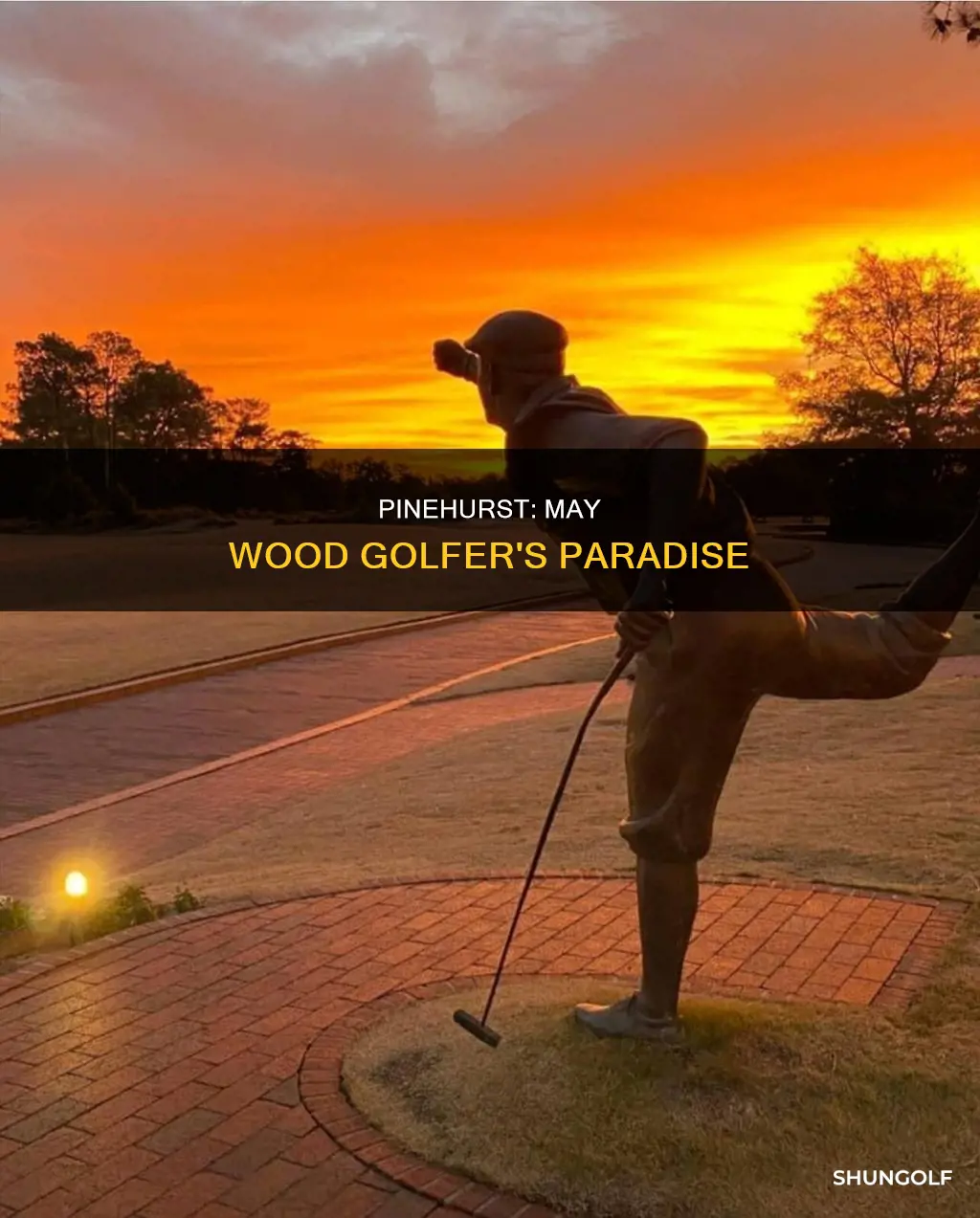 may wood golfer pinehurst