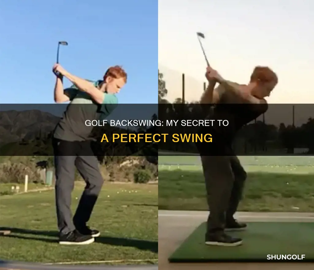 me and my golf backswing positions