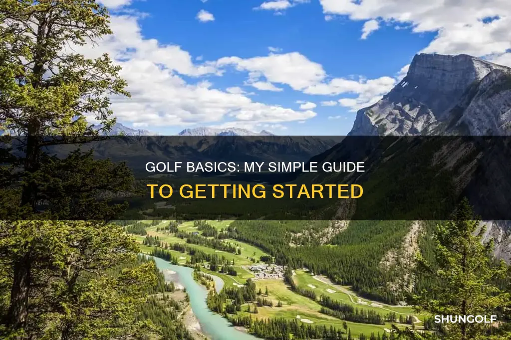 me and my golf basics