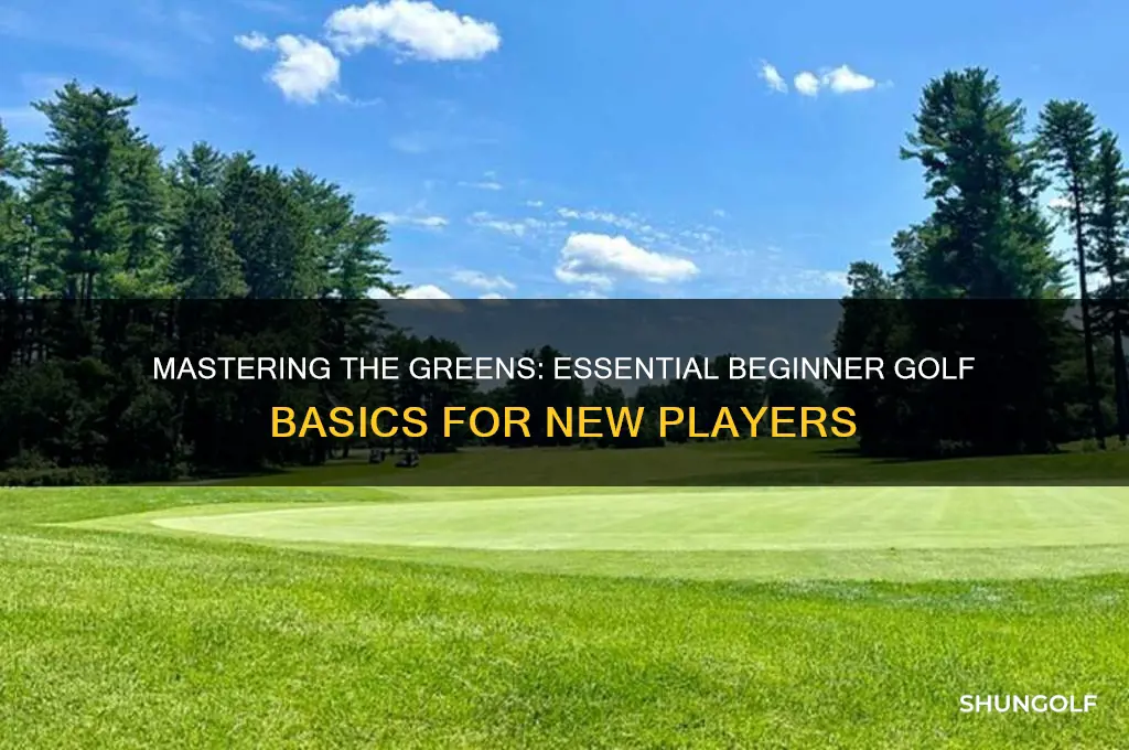 me and my golf beginner golf basics