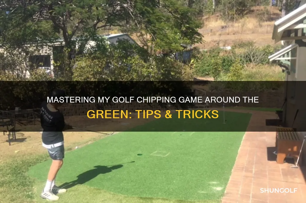 me and my golf chipping around the green