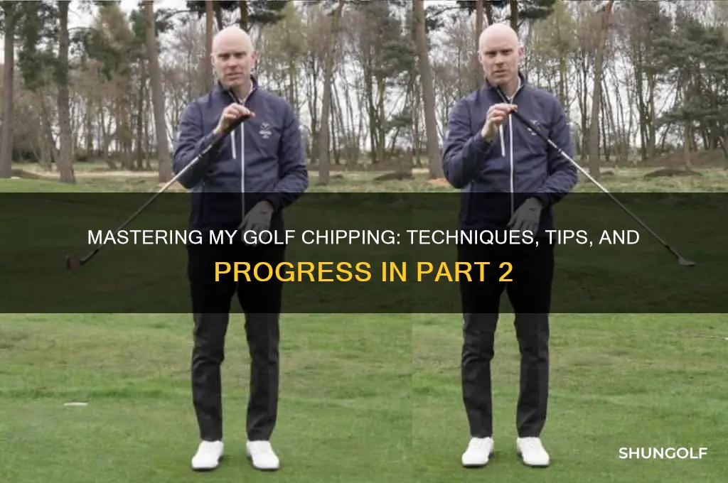 me and my golf chipping part 2