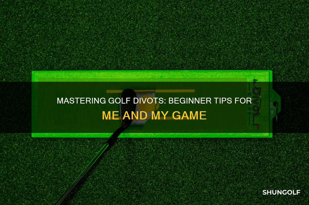 me and my golf divots for beginners