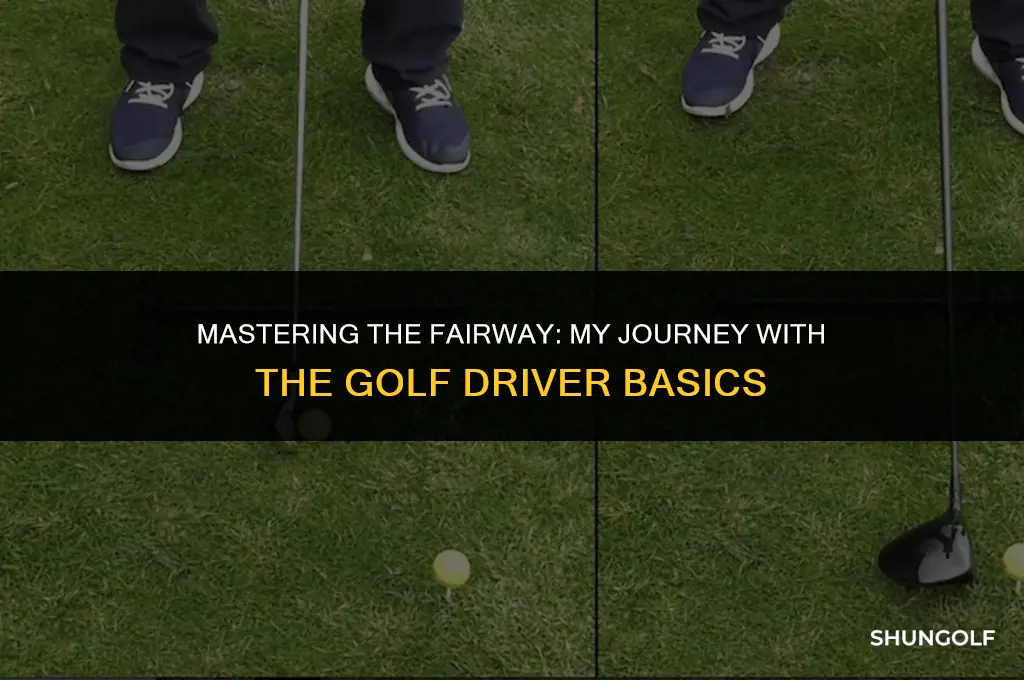 me and my golf driver basics