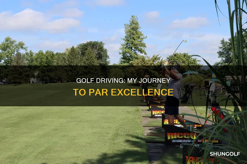 me and my golf driving