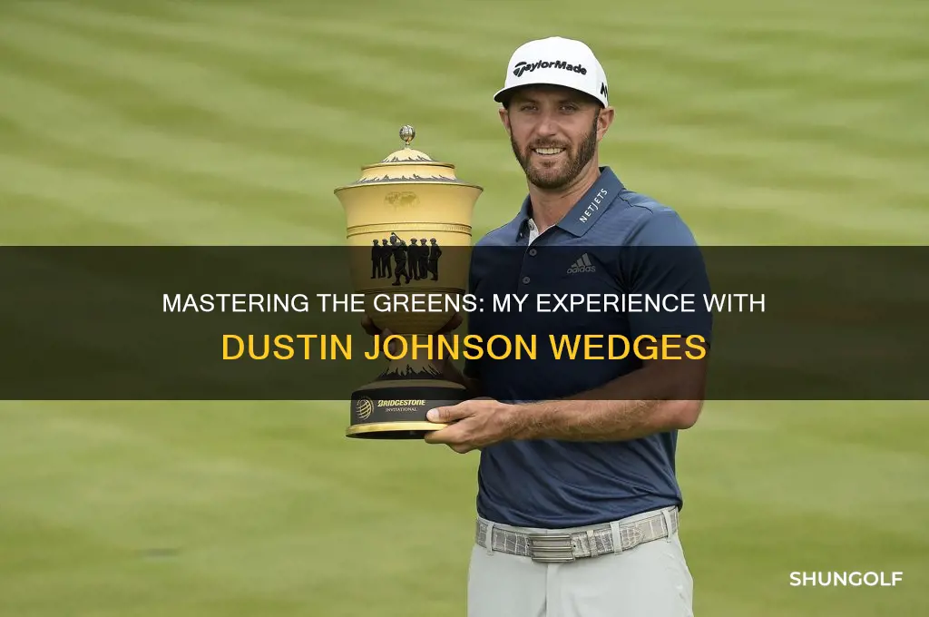 me and my golf dustin johnson wedges