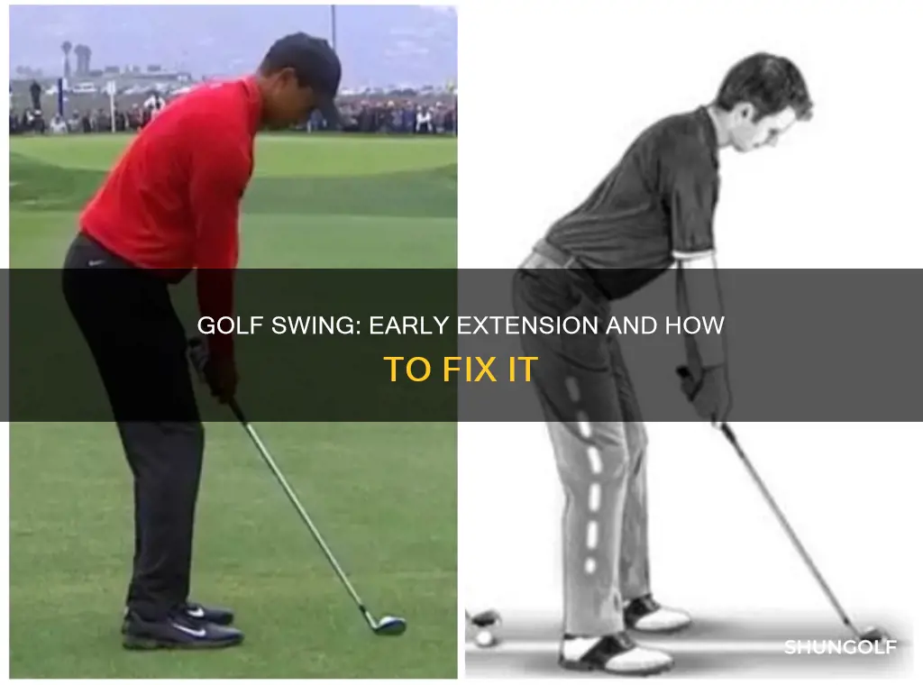 me and my golf early extension