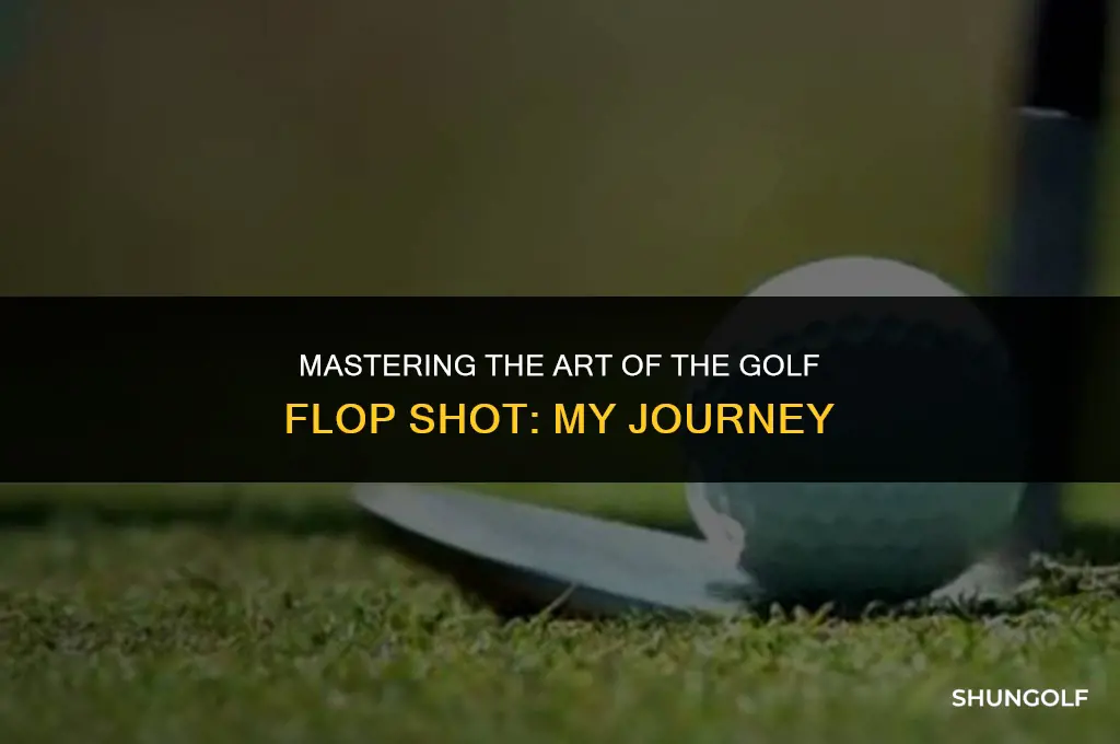 me and my golf flop shot