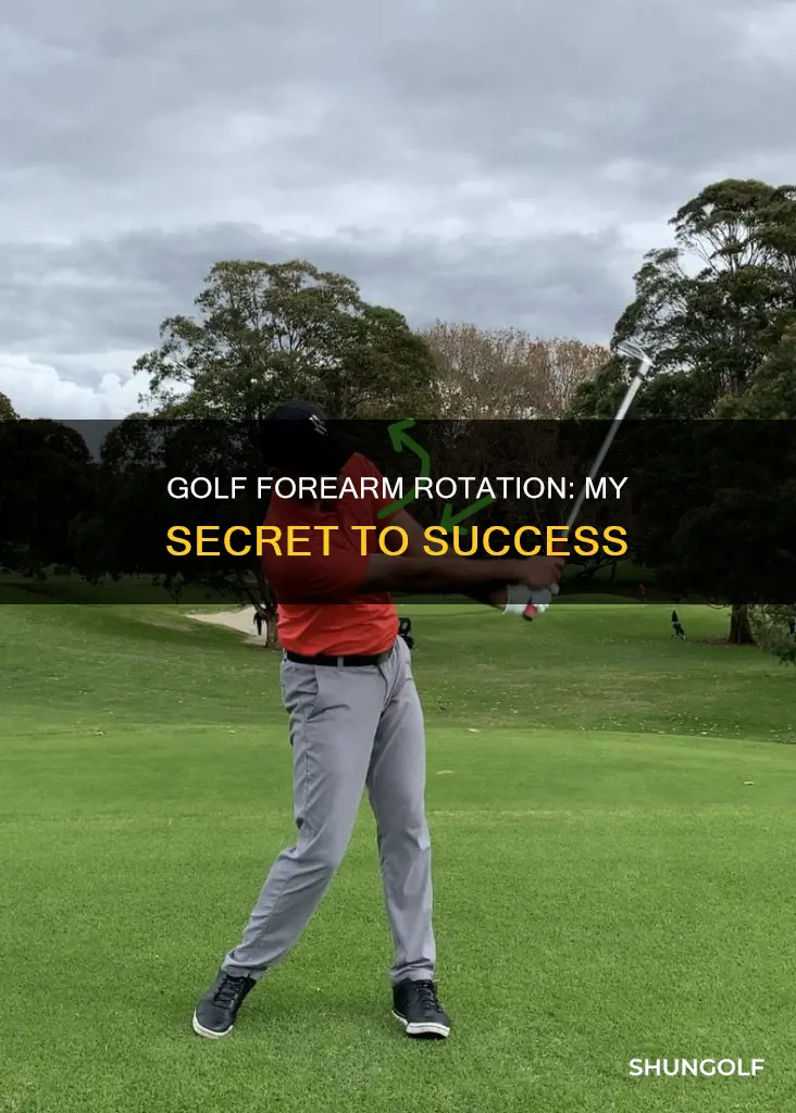 me and my golf forearm rotation