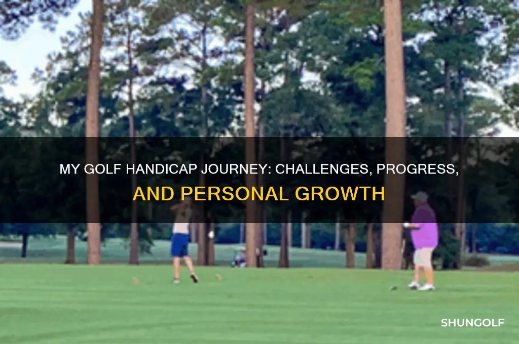 me and my golf handicap