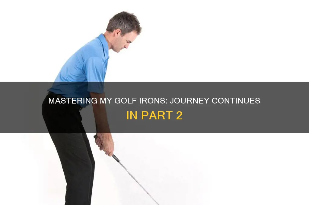me and my golf irons part 2