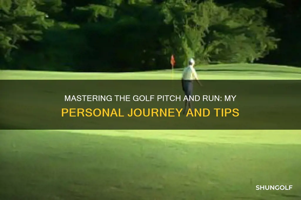 me and my golf pitch and run