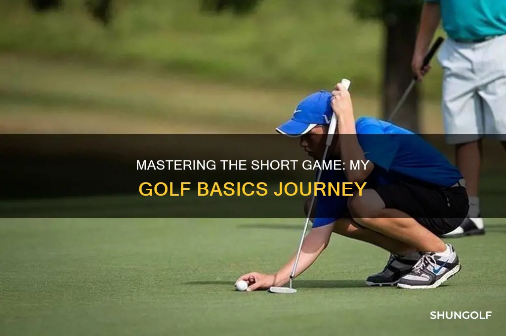 me and my golf short game basics