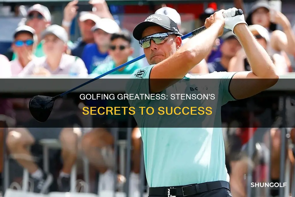 me and my golf stenson
