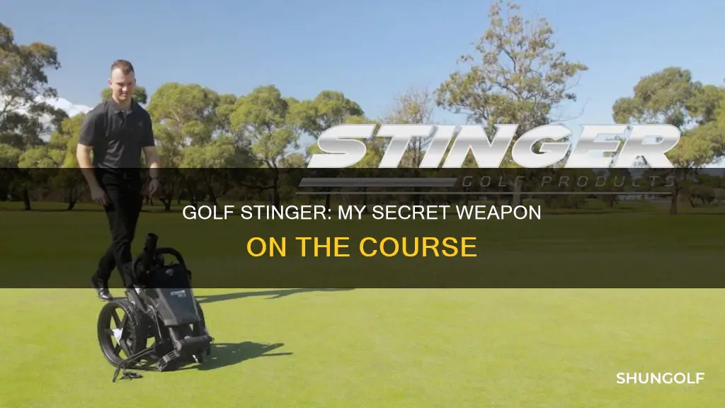 me and my golf stinger