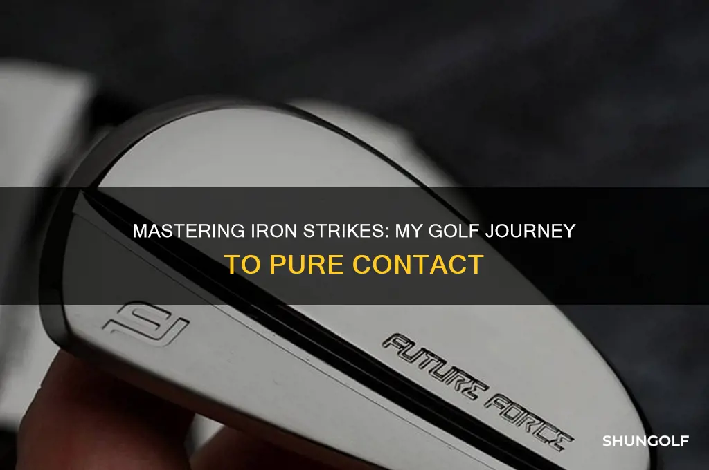 me and my golf strike your irons pure
