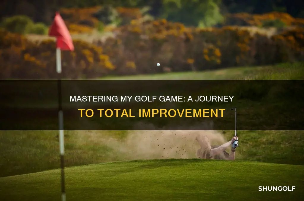 me and my golf total game