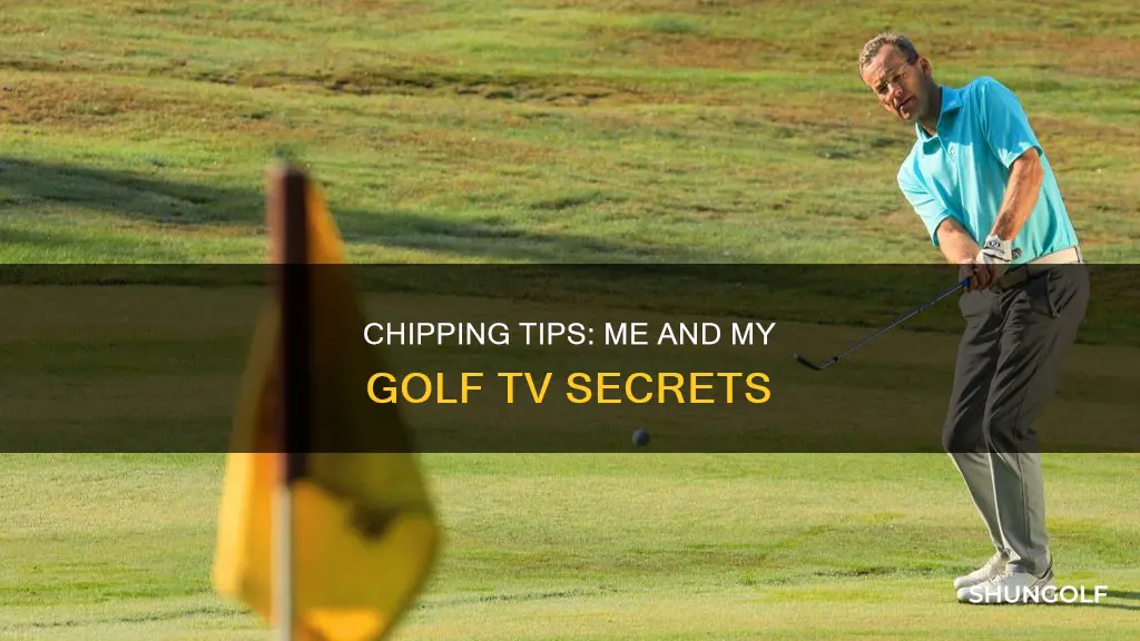 me and my golf tv chipping