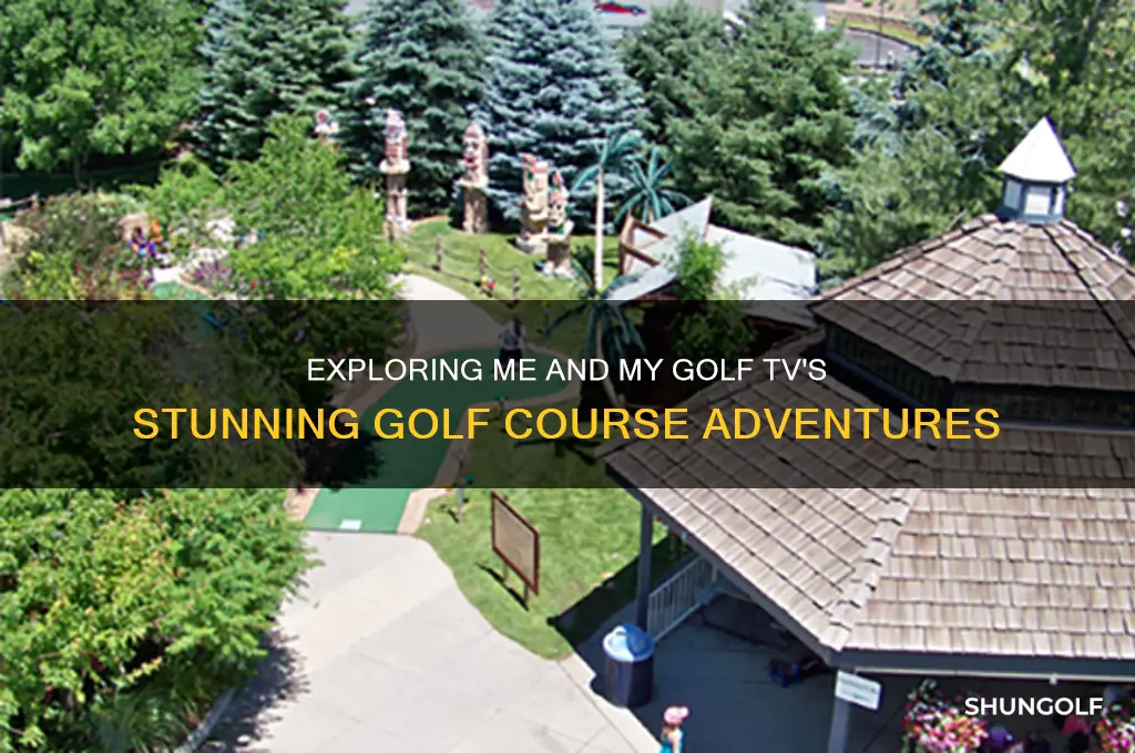 me and my golf tv golf course