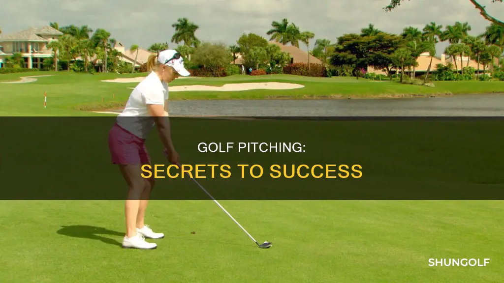 me and my golf tv pitching