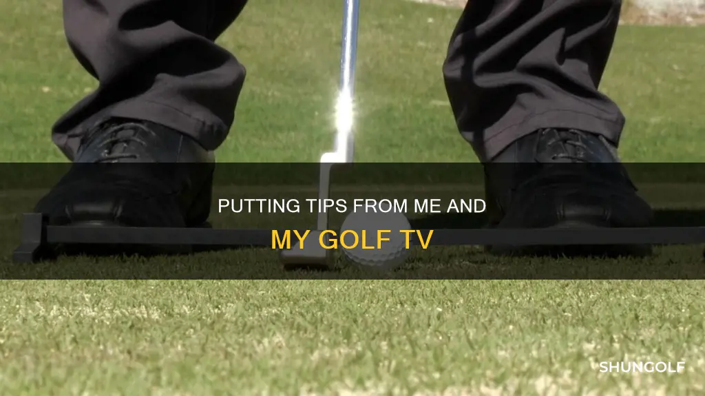 me and my golf tv putting