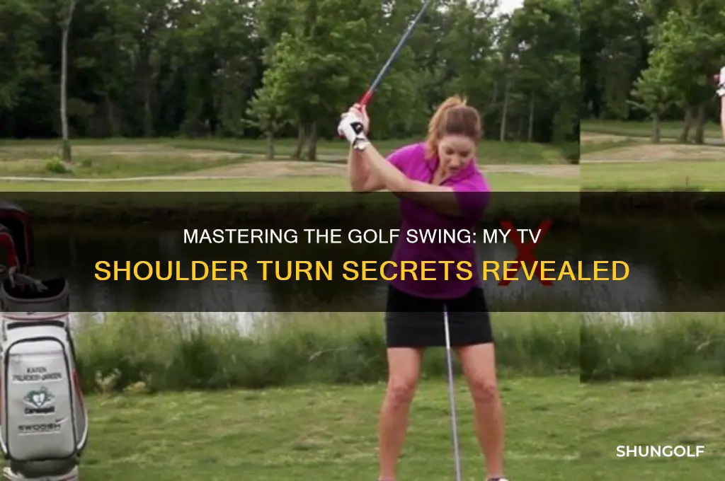 me and my golf tv shoulder turn