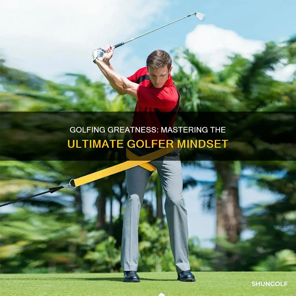 me and my golf ultimate golfer