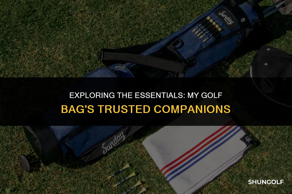 me and my golf what