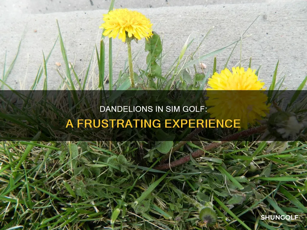 me hate dandelions sim golf