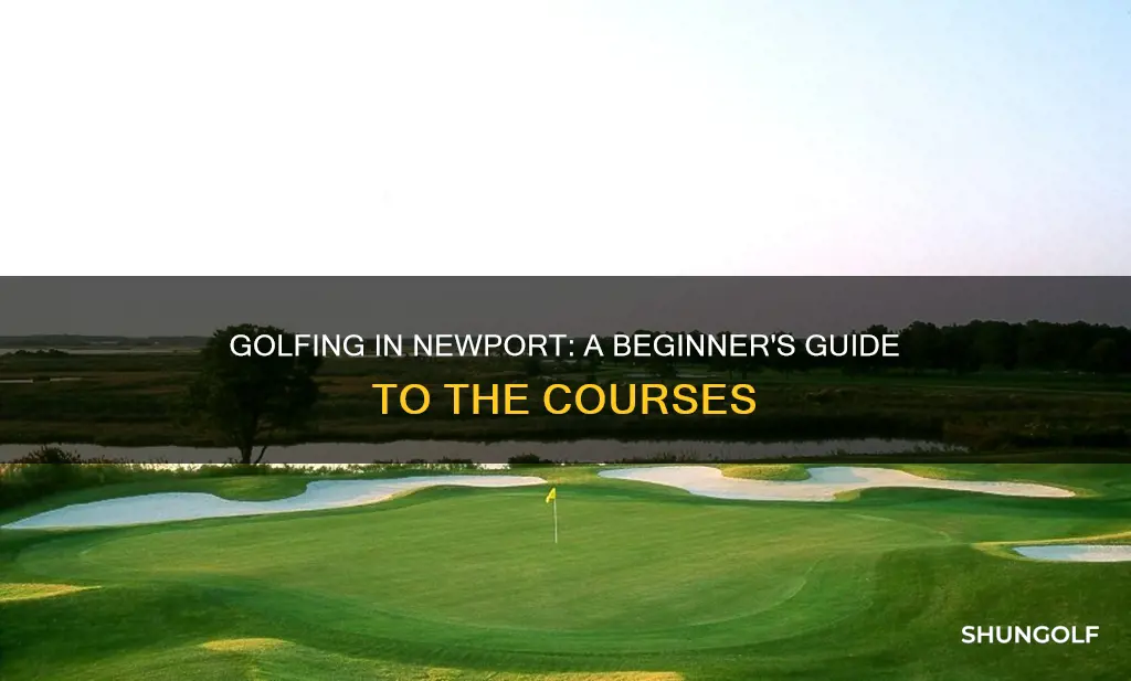 me newport golf