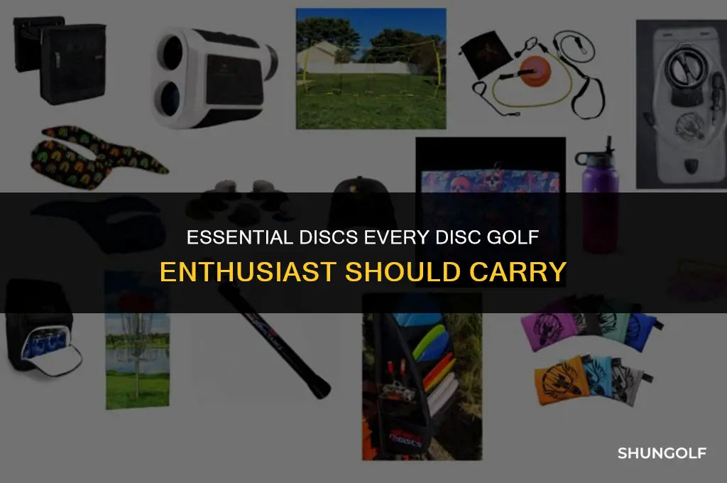 must have discs in bag disc golf