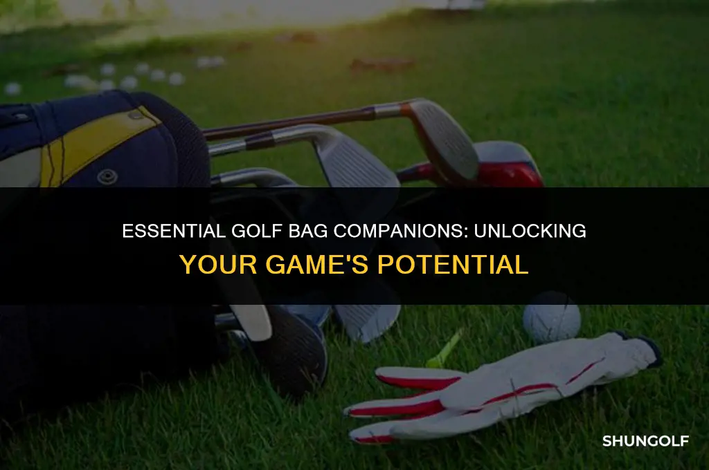 must have in golf bag
