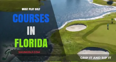Florida's Premier Golf Courses: A Golfer's Guide to Must-Play Gems
