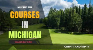 Michigan's Premier Golf Courses: A Guide to Must-Play Greens
