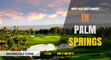 Palm Springs Golf Paradise: Top Must-Play Courses to Explore