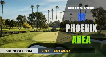 Phoenix Golf Paradise: Top Courses to Play in the Valley