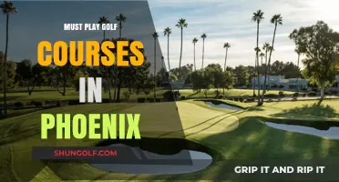 Phoenix's Premier Golf Courses: A Guide to Must-Play Greens