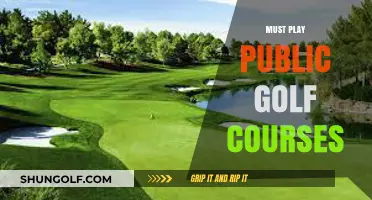 Top Public Golf Courses Every Golfer Should Experience and Enjoy