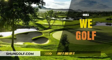 Golfing: A Sport for All Ages and Abilities