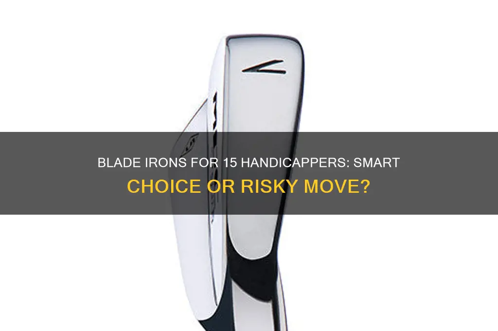 should a 15 handicap golfer hit blade irons