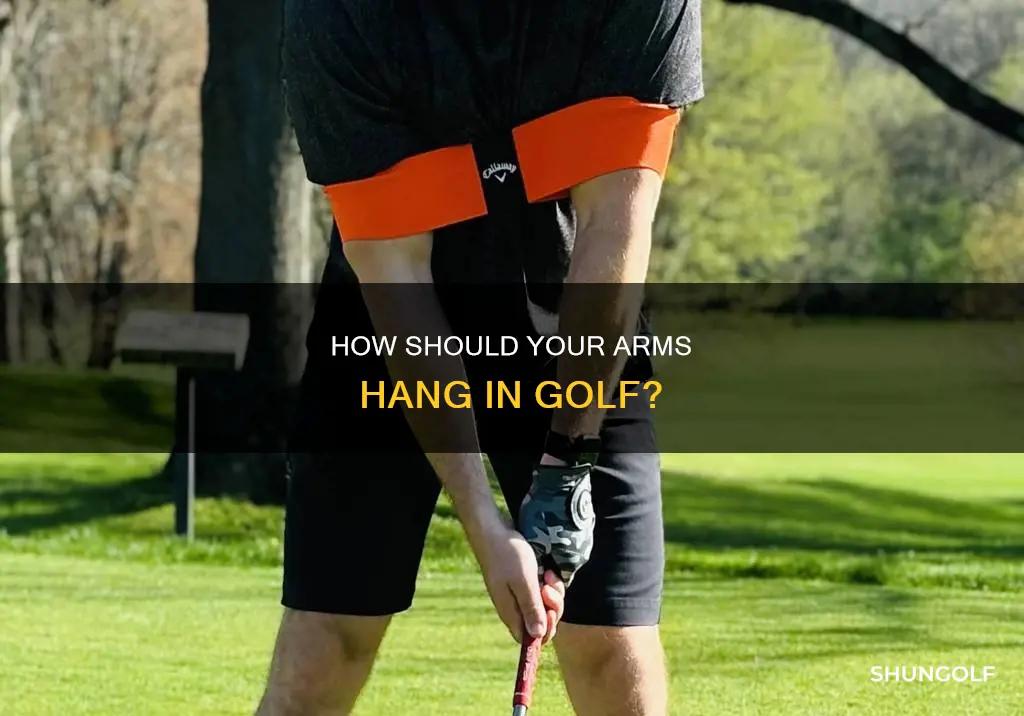 should arms hang straight down golf