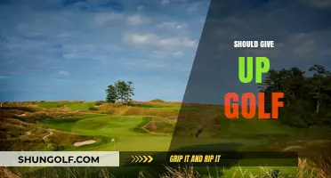 Golf: Time to Quit or Keep Playing?