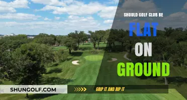 Should Your Golf Club Be Flat on the Ground? Expert Tips