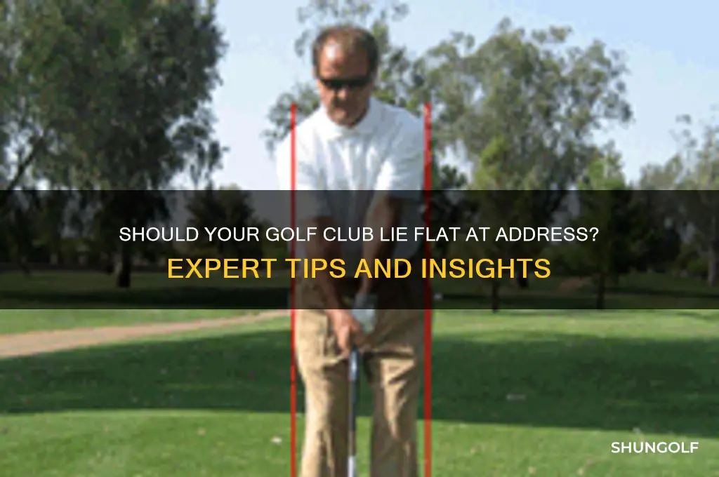 should golf club lie flat at address