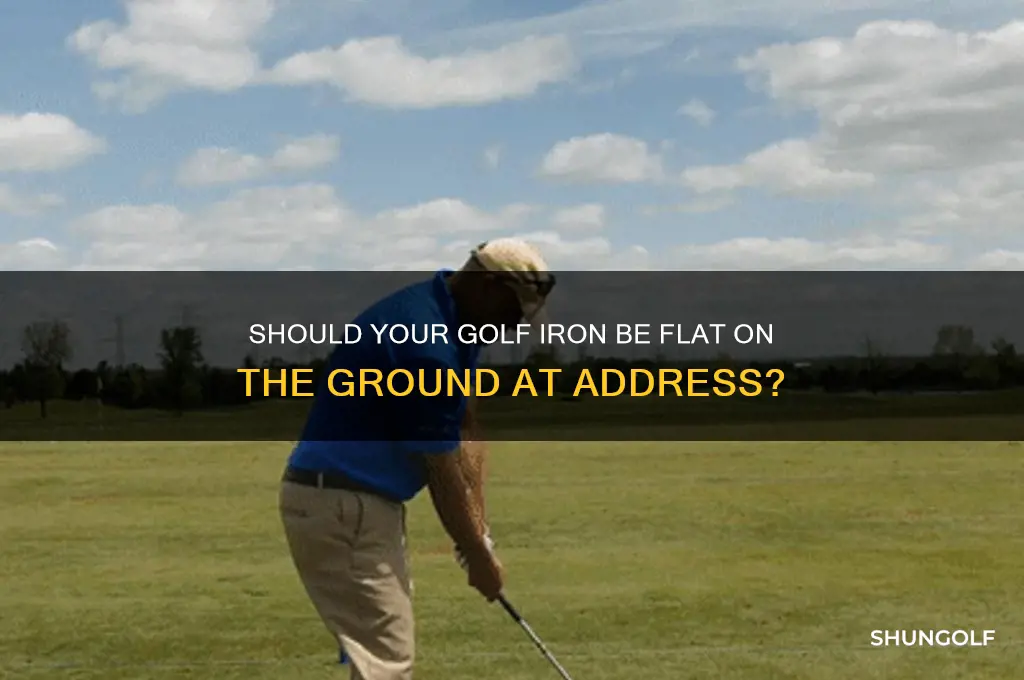 should golf iron be flat on ground at address