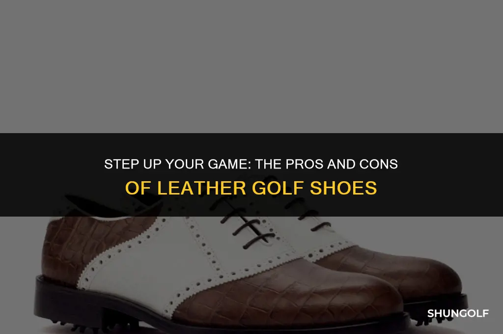 should i buy leather golf shoes