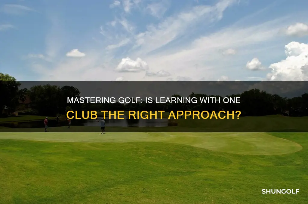 should i learn with 1 golf club