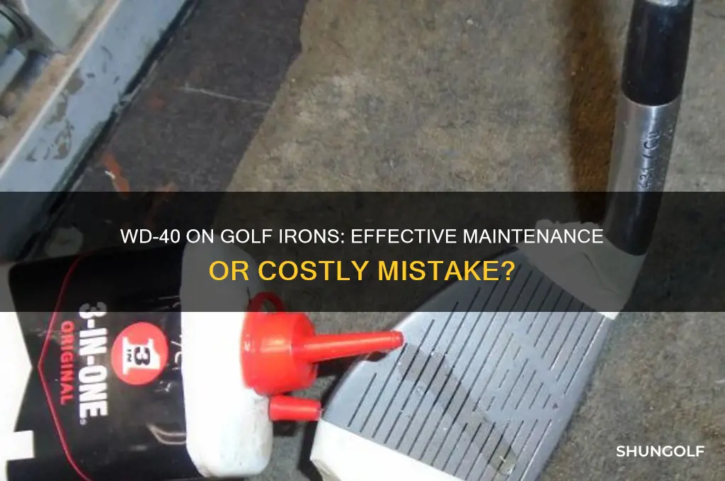 should i spray wd-40 on golf iron