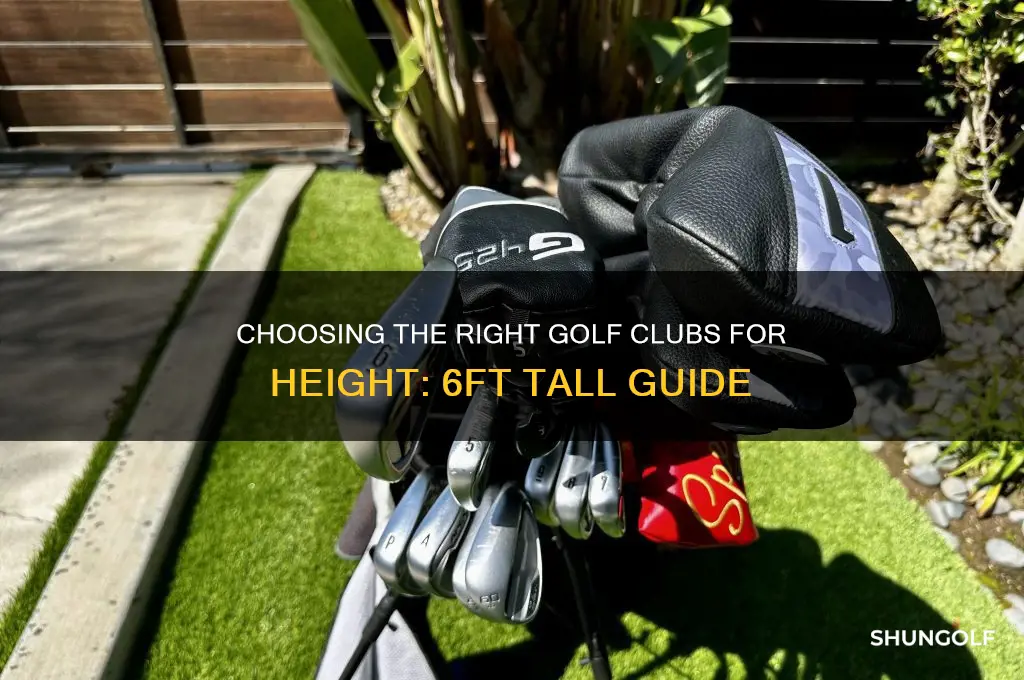 should i use 1 golf clubs if im 6ft tall