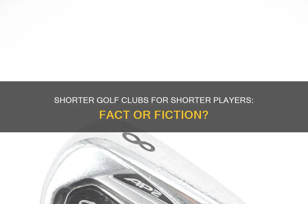 should shorter people use shorter golf clubs